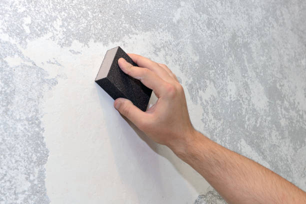 Best Mold Odor Removal Services  in Cutler Bay, FL