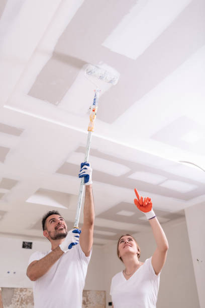  Cutler Bay, FL Mold Removal Pros
