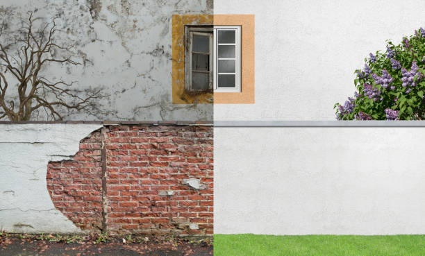 Best Commercial Mold Inspection  in Cutler Bay, FL